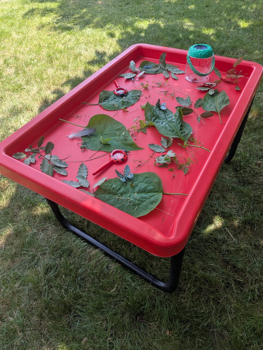 Nature exploration tray with leaves and magnifying glasses