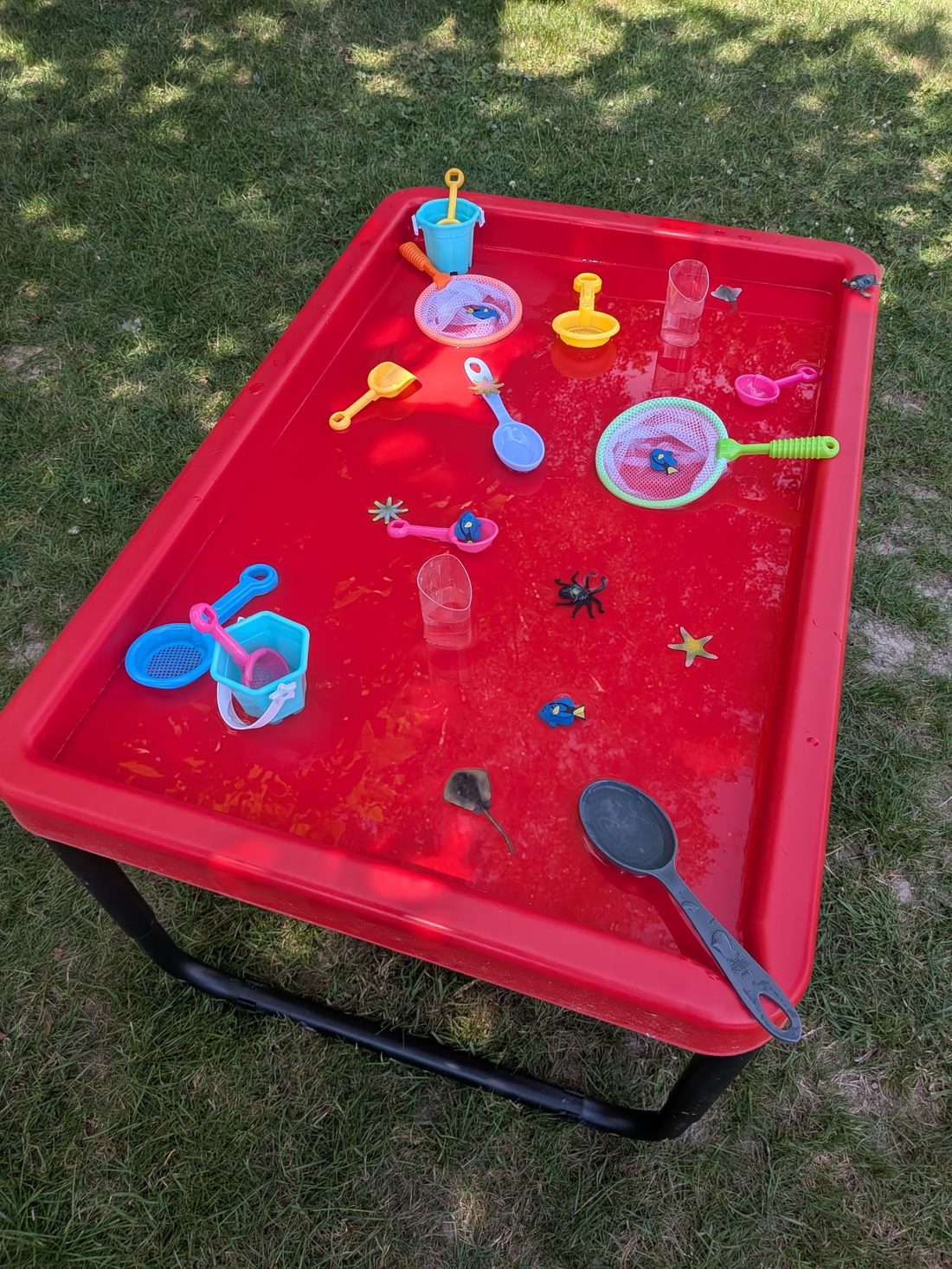 Water play tray with scoops and toys